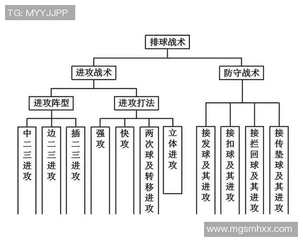 深入分析成都排球队独特的进攻策略与战术特点